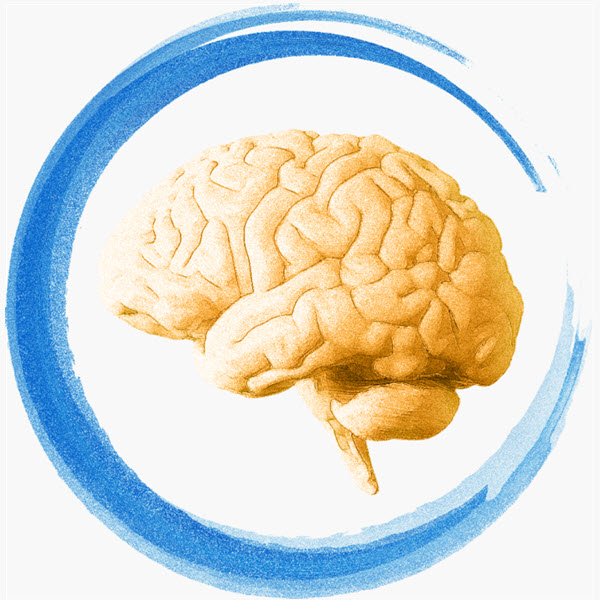 Visual de um cérebro